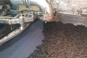 sewage sludge drying