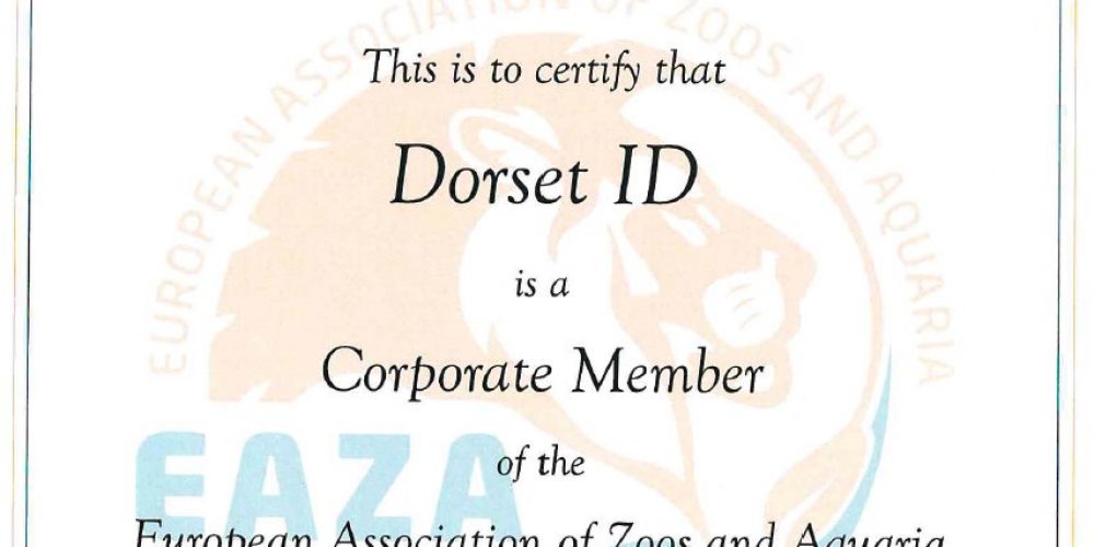 Dorset ID member of EAZA